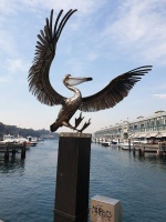 Pelican Landing